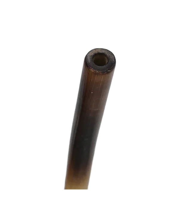 Bombilla de caña de tacuara, primer plano de la boquilla