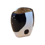 Mate ranchero vaquita, vista de perfil
